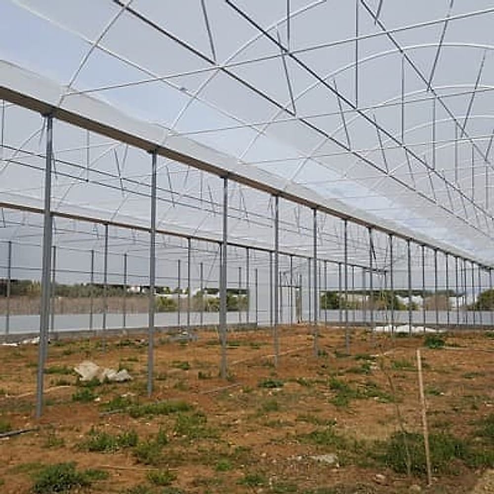 Yeni Tropikal Sera İnşaatı