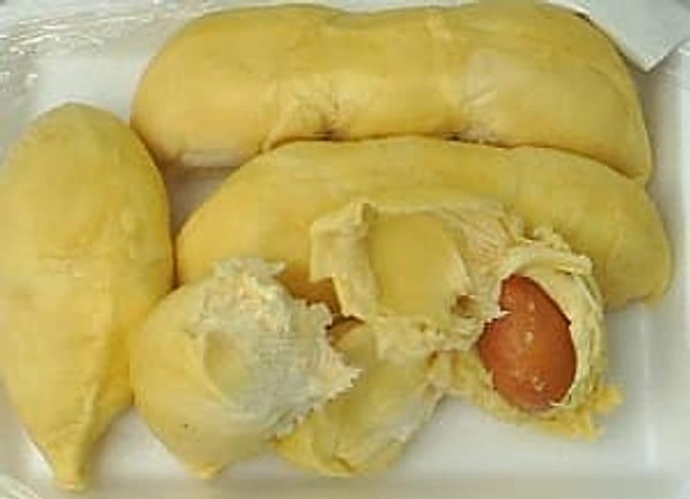 Durian4