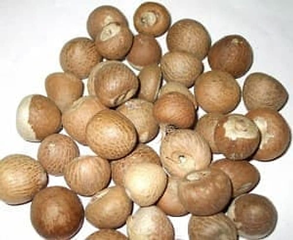 betelnut