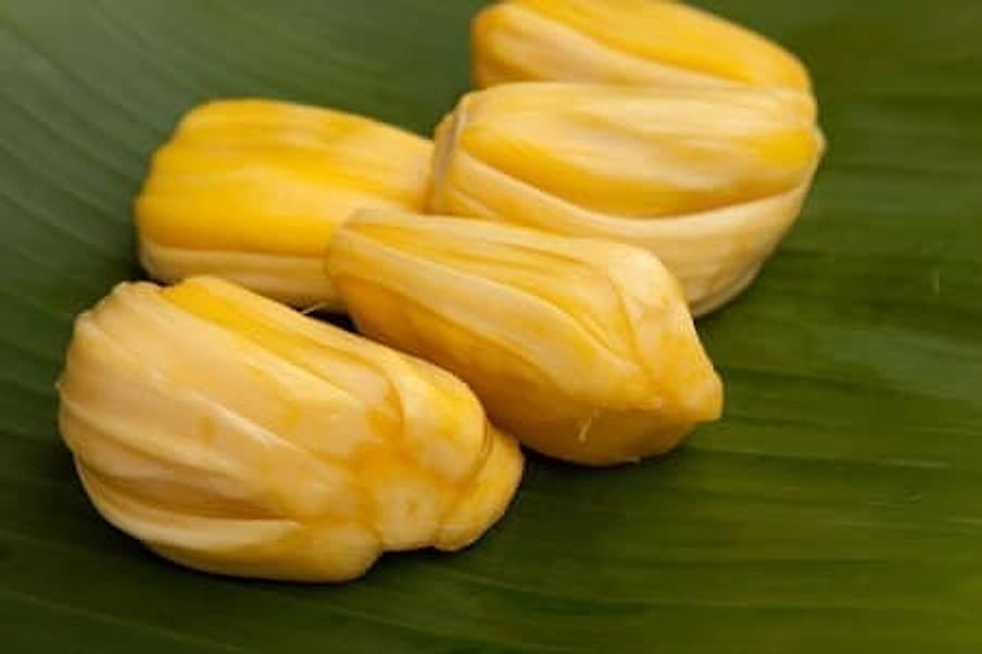 Jackfruit Jackfruit