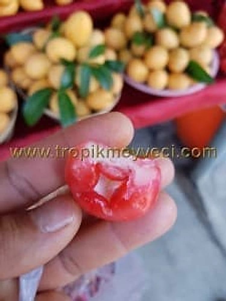 Jambu