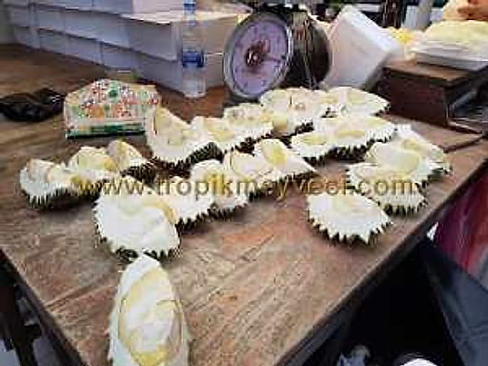 Durian