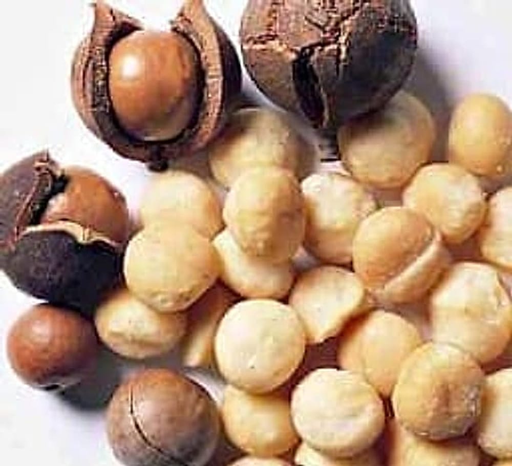 macadamia-cevizi