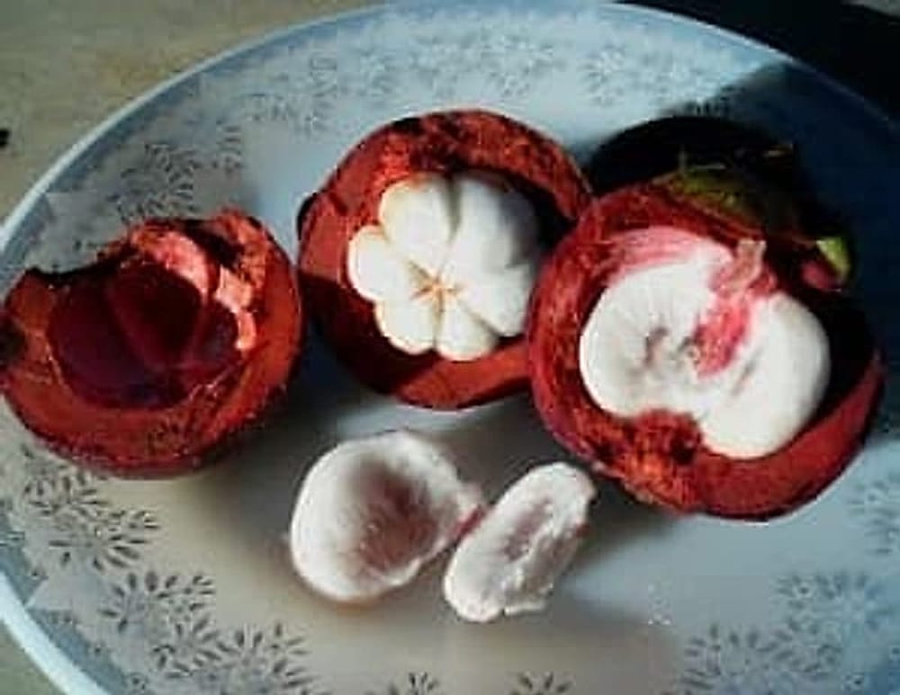 mangosteen