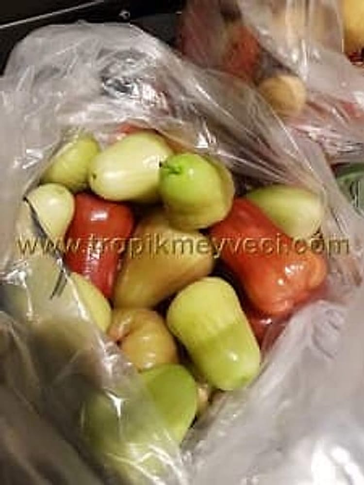 Jambu
