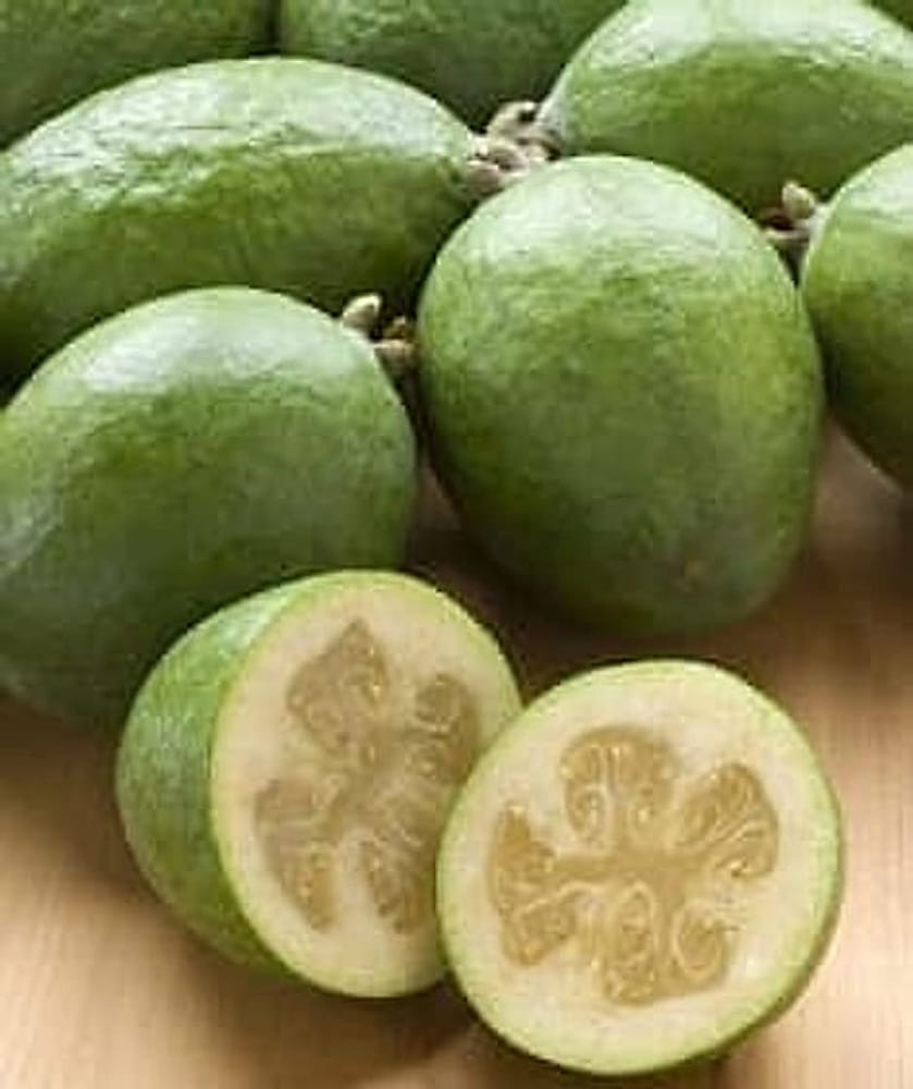 Feijoa Meyvesi