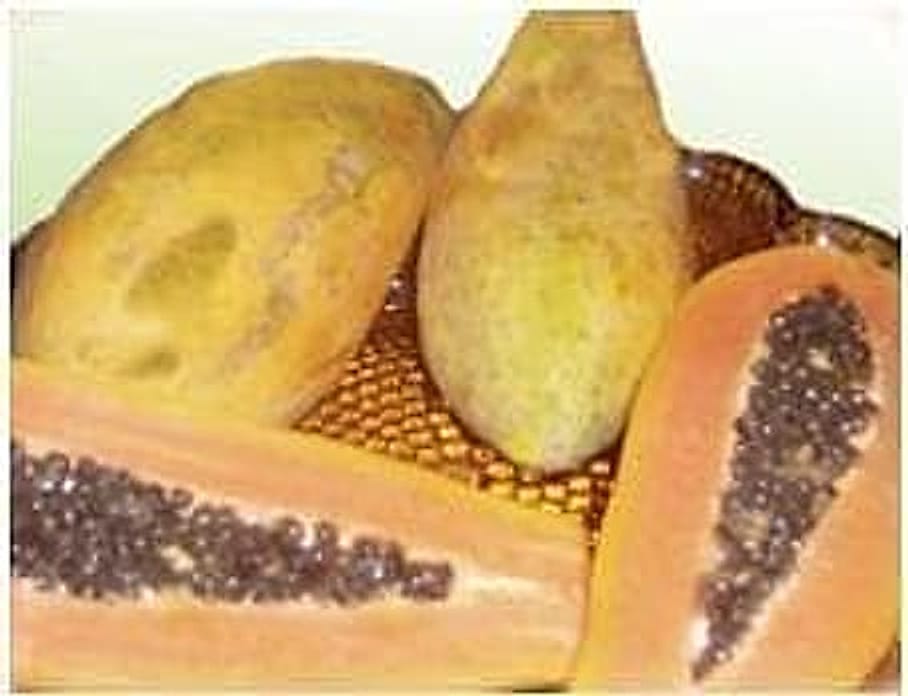 Papaya Meyvesi