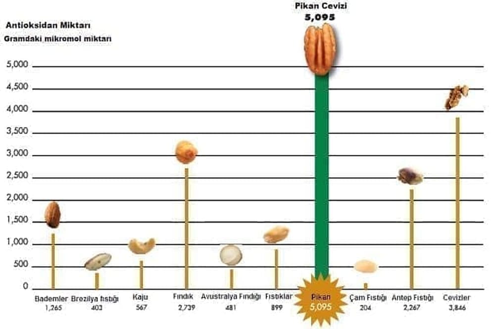 Pikan Cevizi Antioksidan Grafiği 