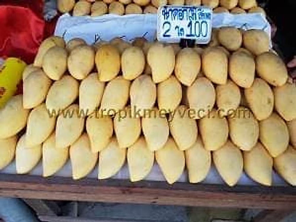 Mango