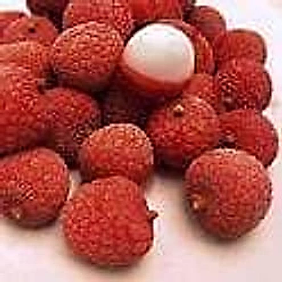lychee