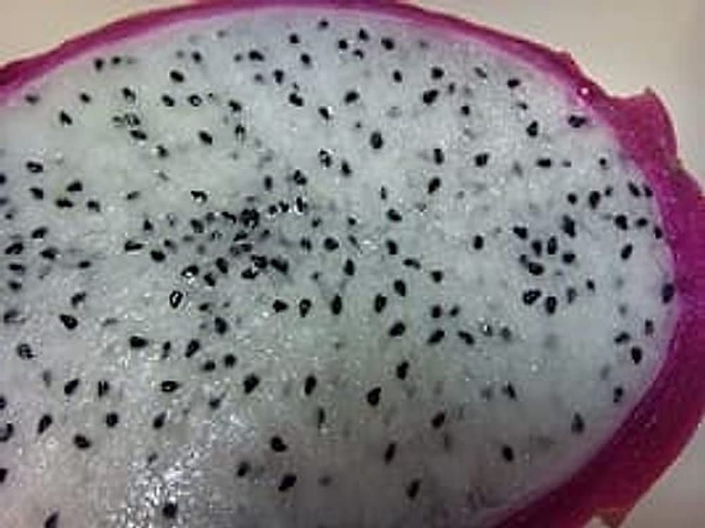BeyazPitaya2
