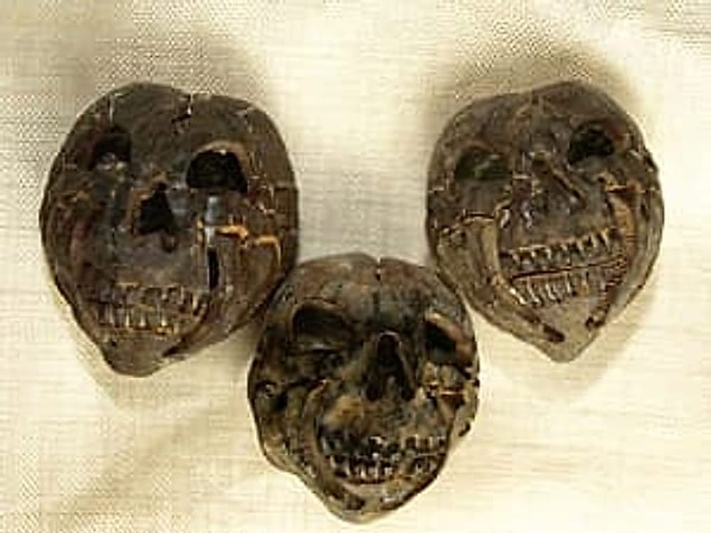 candlenutskull
