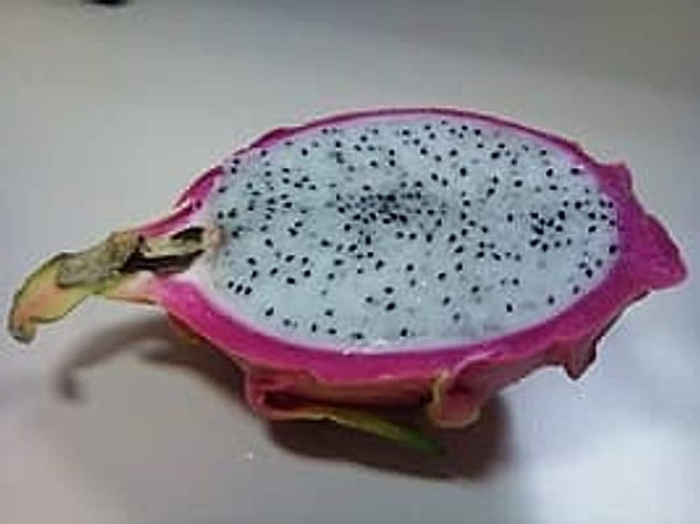BeyazPitaya1