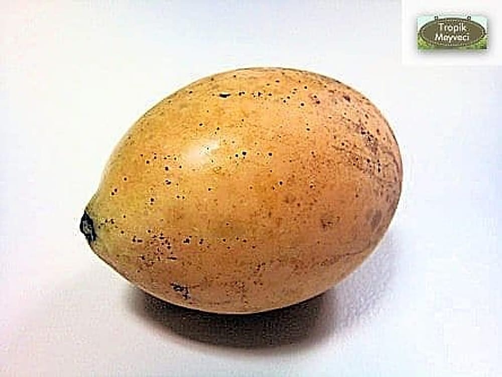 Mango Plum - Erik Mango Mango Plum - Erik Mango