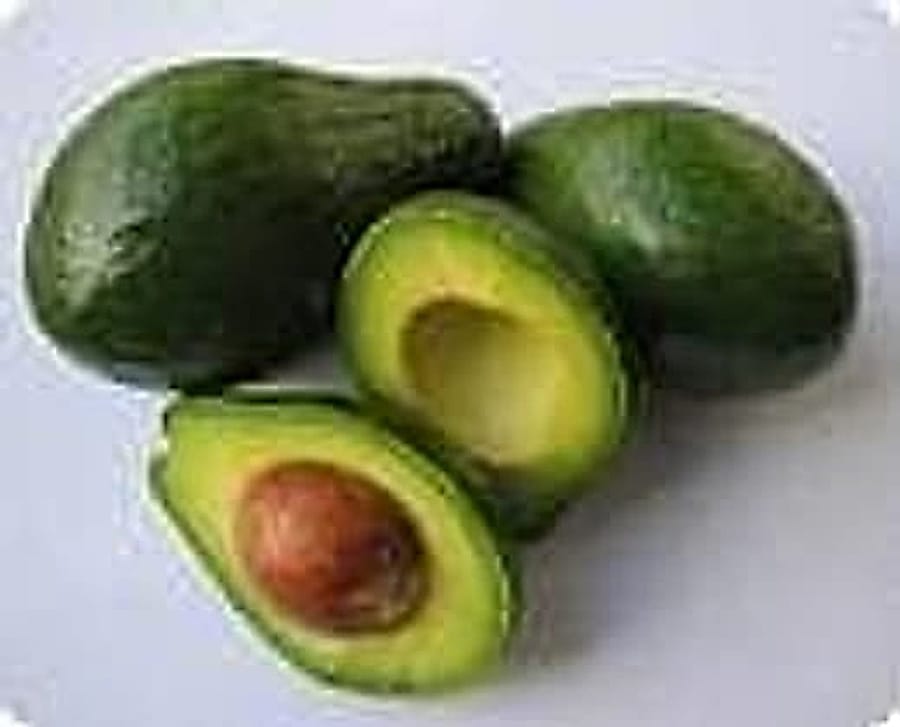 Avokado Avokado