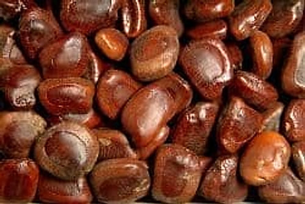 tamarind_seeds