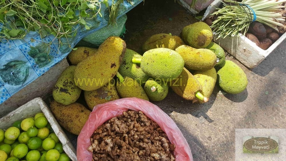Sri Lanka Gezisi-Tropikal Meyveler