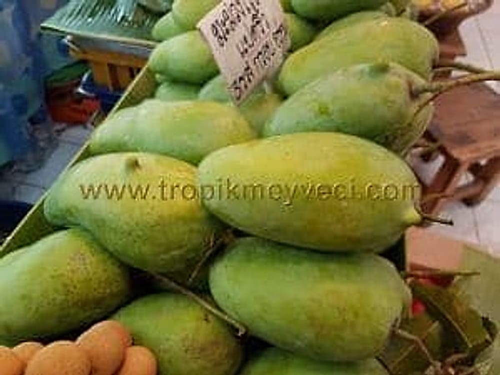 Mango