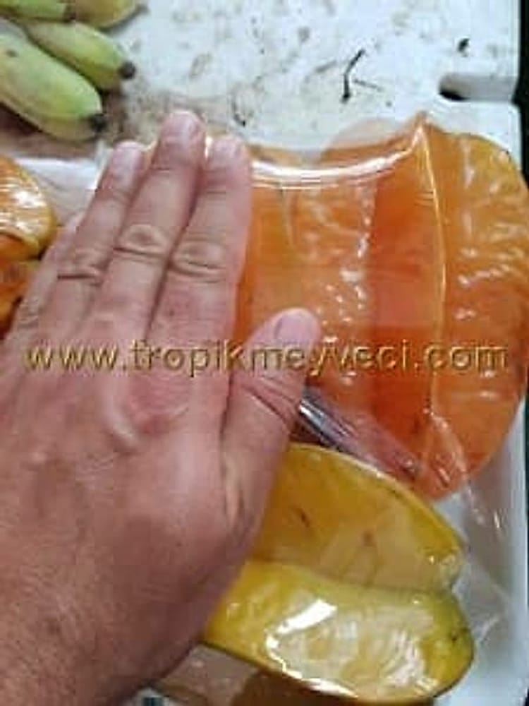 Yıldız Meyvesi, Carambola