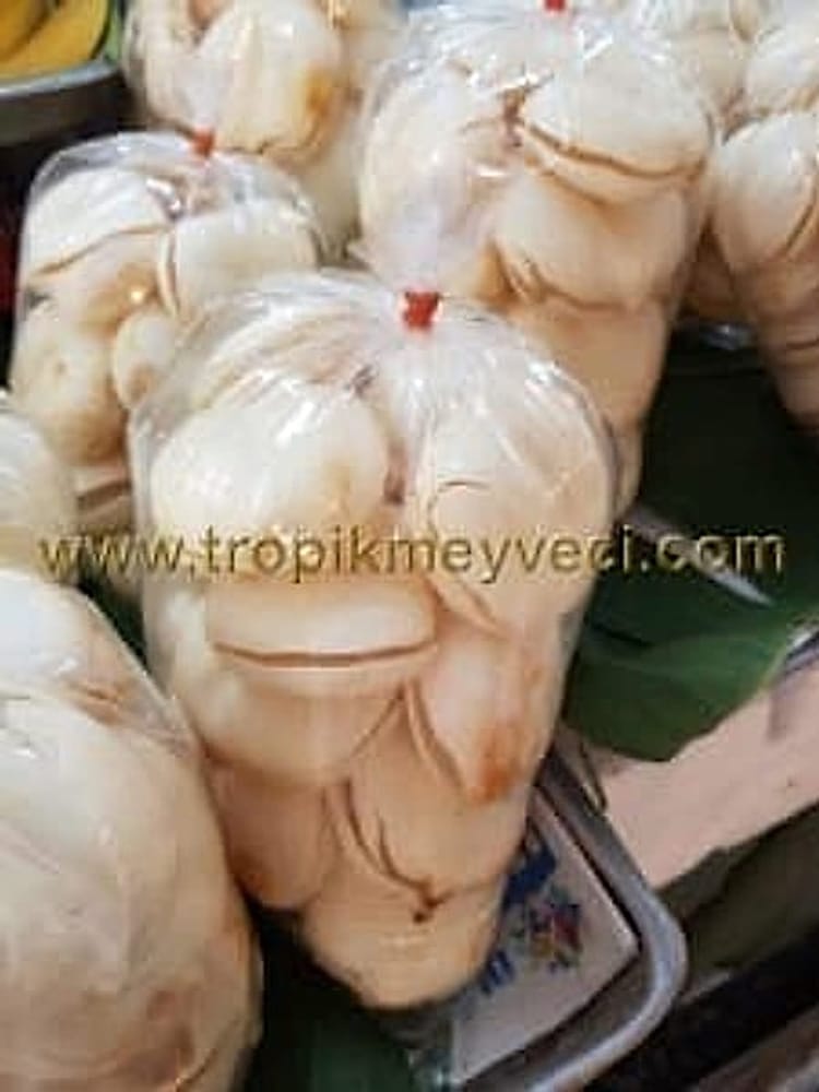 Jelly Palm meyvesi