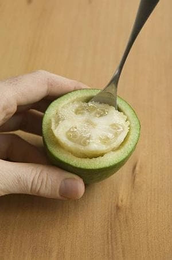 Feijoa Meyvesi-kasik