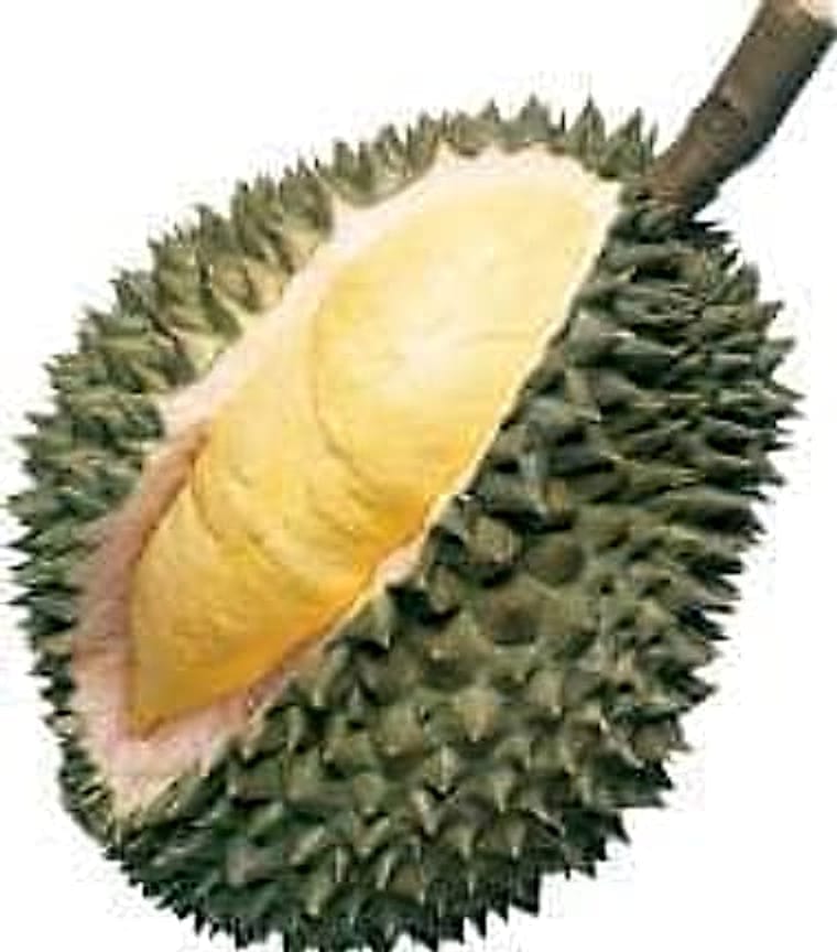 durian