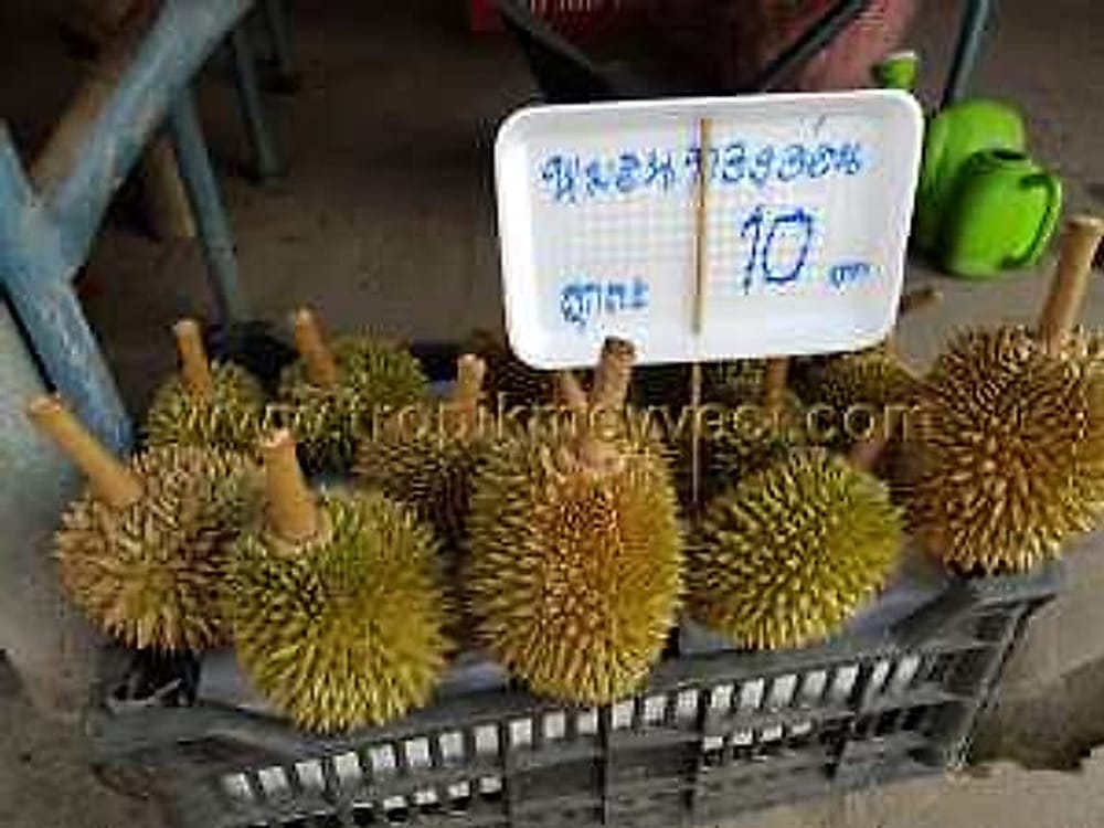 Durian