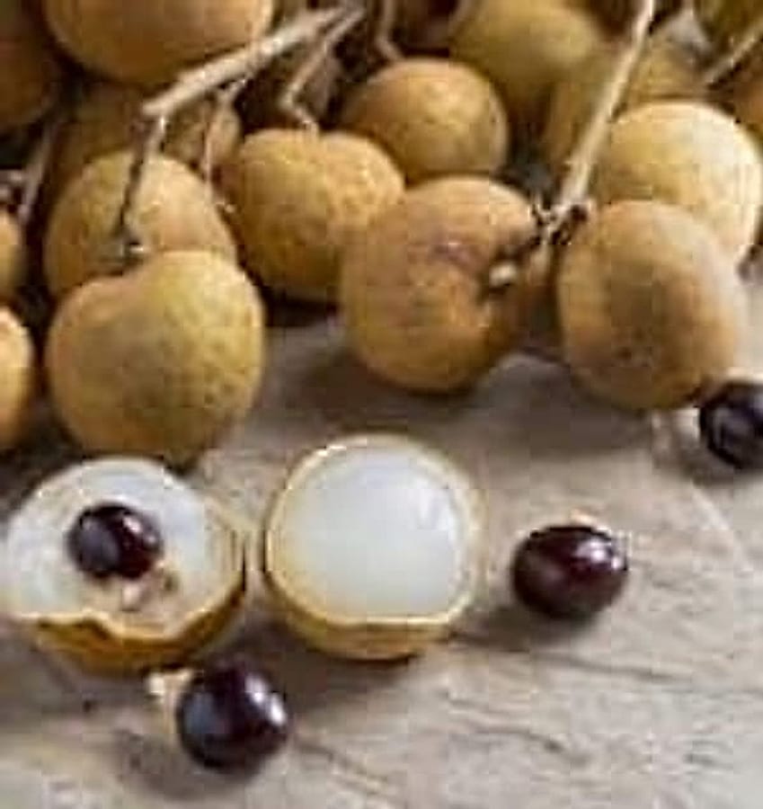 Longan