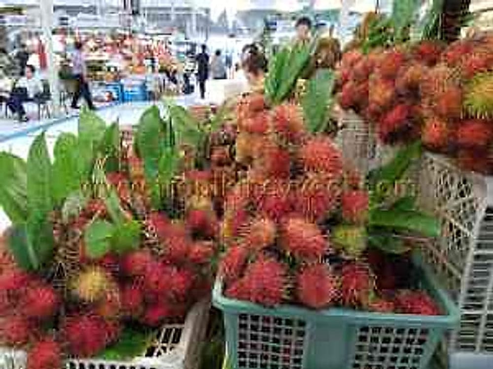 Rambutan