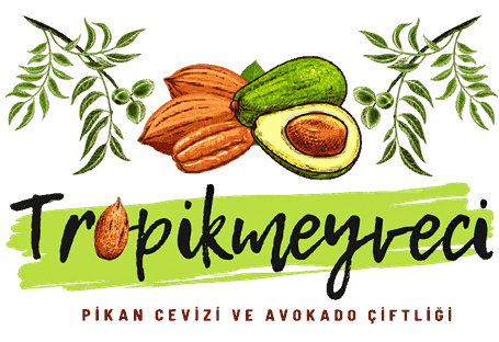 TropikMeyveci Pikan Cevizi ve Avokado Çiftliği