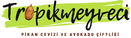 TropikMeyveci